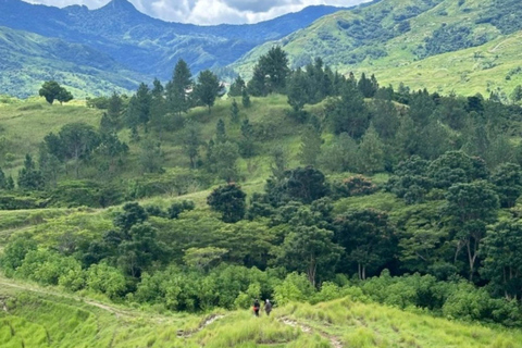 Nadi: Wycieczka do wodospadu z przekąskami i lunchemNadi: Wycieczka do wodospadu z poczęstunkiem i lunchem