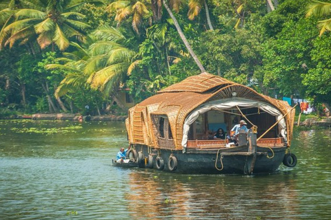 Kochi: passeio de dia inteiro ou meio dia com tudo incluído e cruzeiro de barcoKochi: passeio de dia inteiro com tudo incluído e cruzeiro de barco