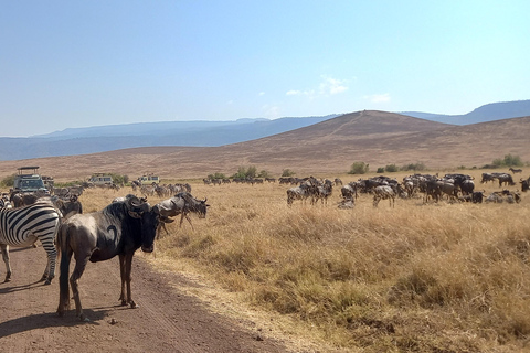 6 Days Calving Season wildebeest migration in Ndutu