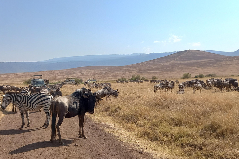 4 Tage Tarangire-, Ngorongoro- und Serengeti-Nationalpark