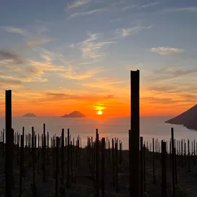 LIPARI WINERY - PIC NIC IM WEINBERG