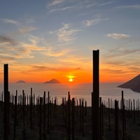 Lipari, Picnic in the Vineyard - Housity
