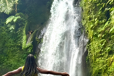 Ubud Signature Experience: Swing, Waterfall & Coffee Ticket Swing & Entrance fees Included
