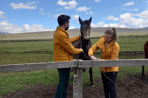 Horseback riding through Cotopaxi National Park in one day 3 hours of Horseback Riding