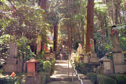 Nara: Führung durch den Hozan-ji-Tempel mit Seilbahnfahrt