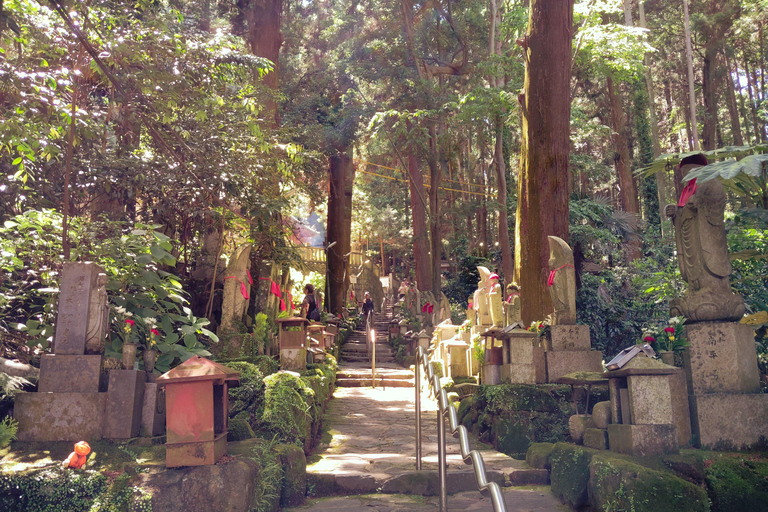 Nara: Führung durch den Hozan-ji-Tempel mit Seilbahnfahrt