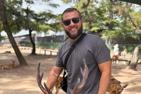 奈良公园：隐秘小径与鹿群导览之旅（含接送服务）