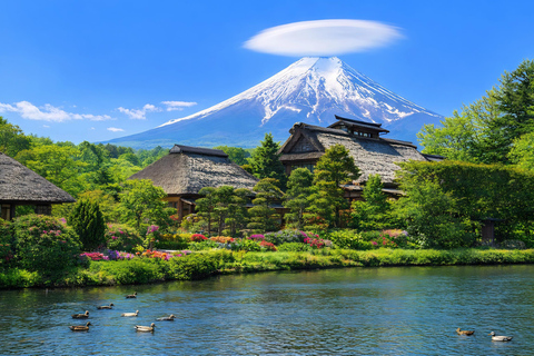 Tokyo: Mt Fuji & Arakurayama& Oshino Hakkai&Lake Kawaguchiko 8:00 AM | Shinjuku Station, West Exit