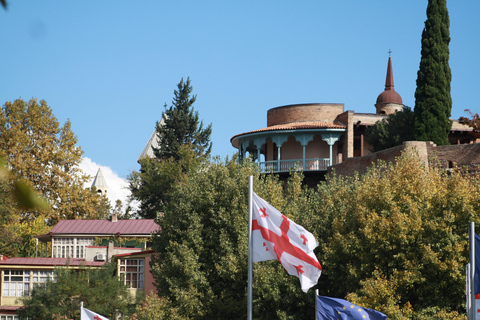 Tbilisi: Tour door protesten en revolutiesPrivé-ervaring