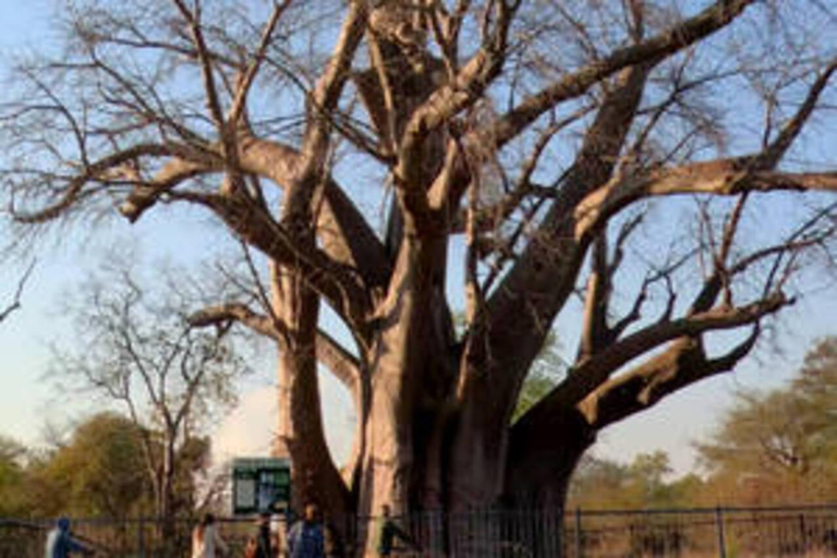 Victoria Falls: Bamba Bikes Full Day