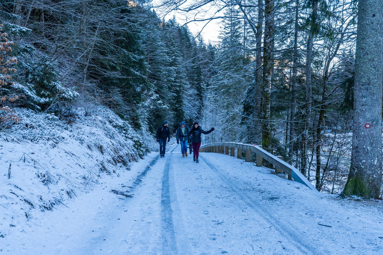 From Ljubljana/Bled: Peričnik Waterfall Winter Hike From Bled — Pickup at your accommodation