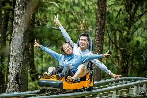 From Da Lat: Visit Da Lat 1 Day