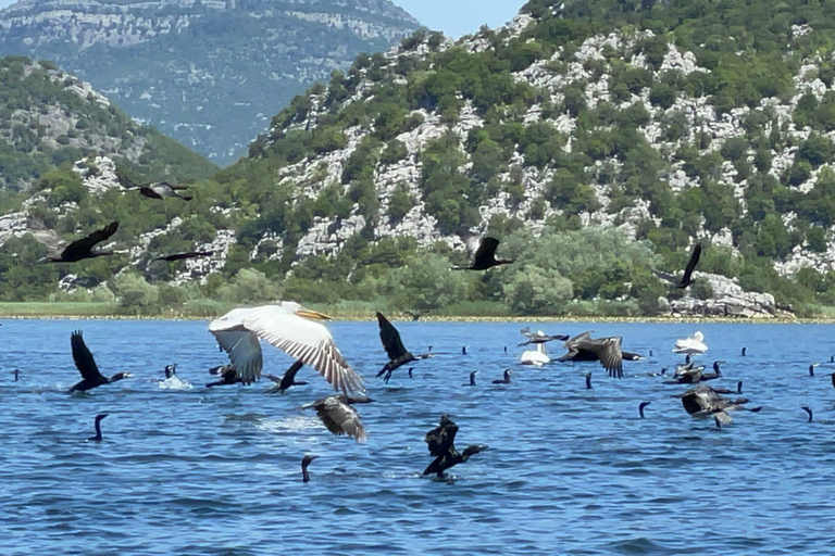 Skadar Lake Day Trip from Budva: Boat Cruise & Lunch From Budva Center