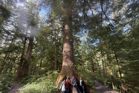 جولة مشاهدة حيتان إلى خليج ديبو وشاطئ كانون وتيلاموك