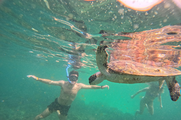 Muscat: Daymaniyat Islands Boat & Snorkel Trip