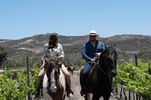 Ensenada: Ridning på vingårdarna