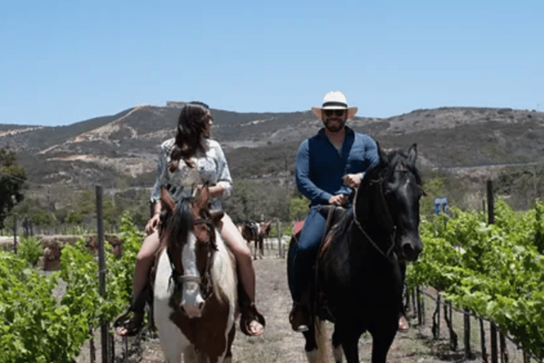 Ensenada: Ridning på vingårdarna