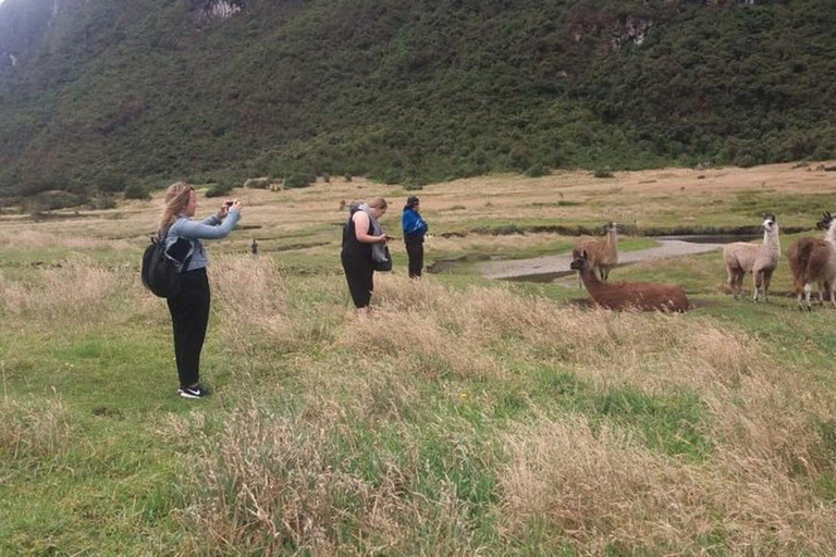 Cuenca: Day Trip to Cajas National Park & Dos Chorreras