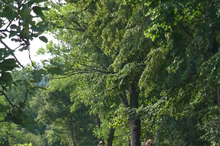 Plitvice: Horseback Riding Tour with Cave Entry Ticket Ride to Barać Caves (Half‑day Horseback Tour)