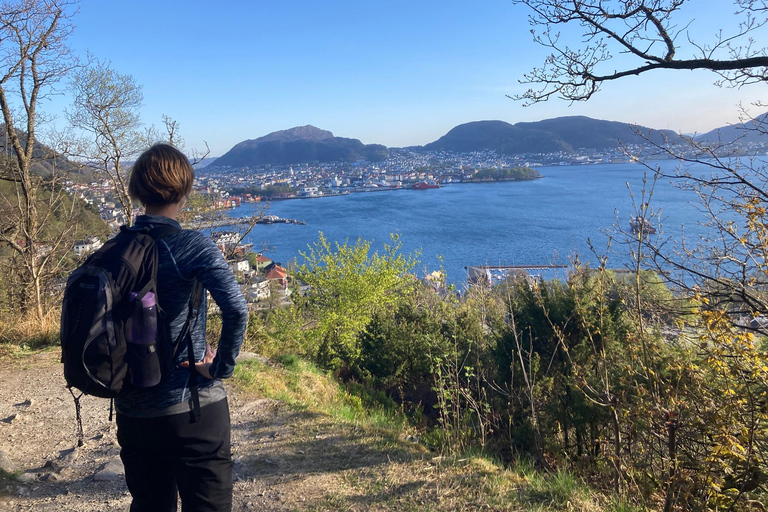 Bergen: Scenic Mountain Hike with Local Guide, Coffee&Snacks Bergen: Scenic Mountain Hike with LocalGuide, Coffee&Snacks