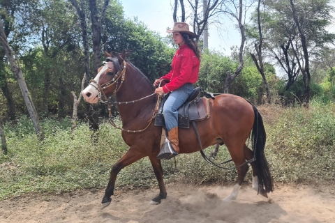 Peru, Chiclayo: 1 dag paardrijden en oude piramidesPeru, Chiclayo: 1 dag paardrijden, oude piramides/bos