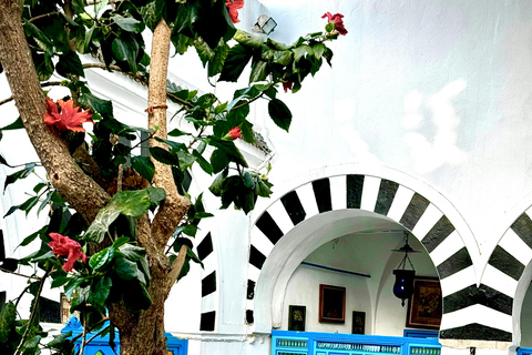 Tunis: Medina, Carthage, & Sidi Bou Said Private Tour Pick-up From: Sousse, or Monastir
