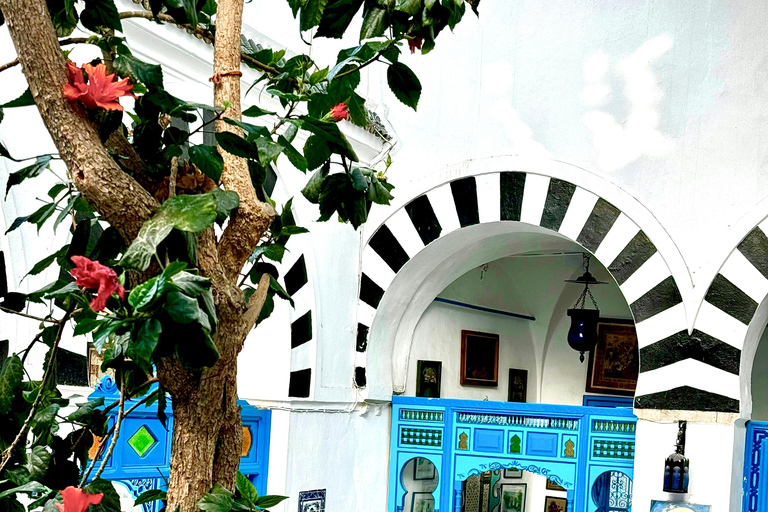 Tunis: Medina, Carthage, & Sidi Bou Said Private Tour Pick-up From: Sousse, or Monastir