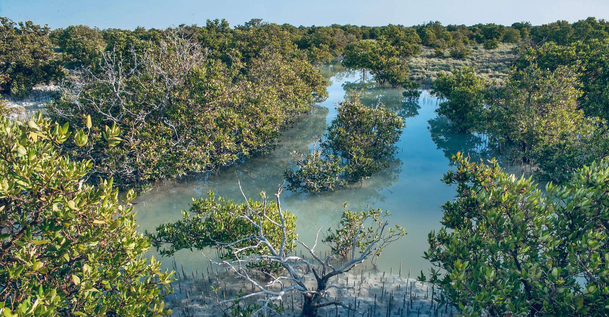 Doha: North Qatar Guide Expedition with Pickup & Drop-Off photo 7