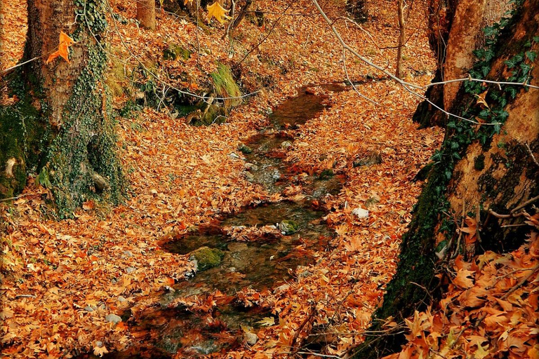 3-Day Ohrid, Bitola & Debar Luxury Macedonia Tour