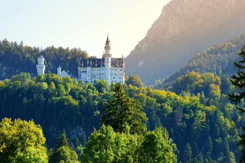 City Bike + Neuschwanstein Castle Guided Entry Ticket Bundle