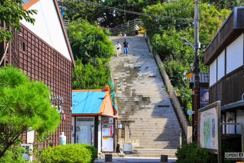 Gyeongju : 2-Day APEC Leader's Route & K-Drama Tour