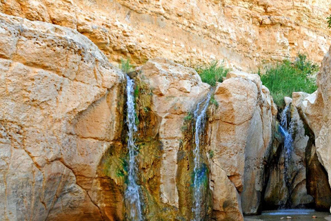Tunis: 3-Day South Tunisia Tour with Meals and Guide Tunis: 3-Day South Tunisia Tour with Meals and Guide