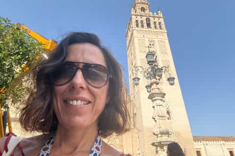 Panoramic view of Seville city and monuments near the Alcázar