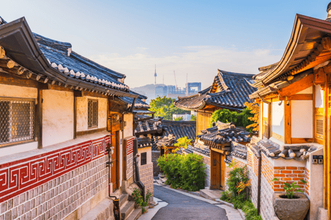 Seoul: Half/Full-Day Private Car Charter Service