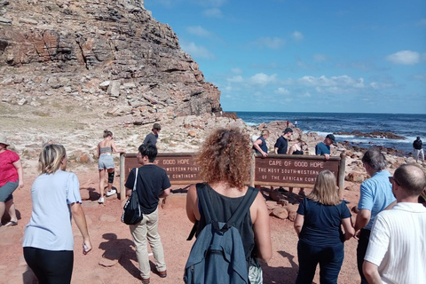 Cape town:Cape of good hope afternoon tour/penguins