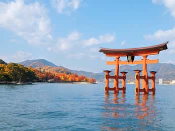 Hiroshima and Miyajima Small-Group Tour with a Local Guide