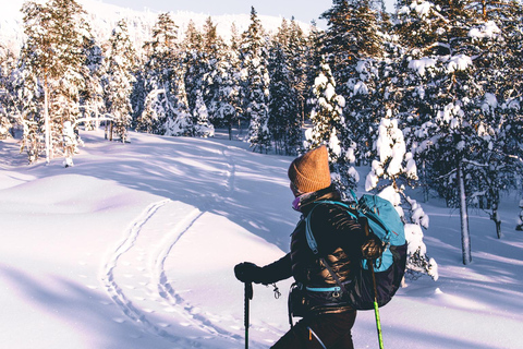 Pyhätunturi: Private Wilderness Skiing Tour In Pyhätunturi