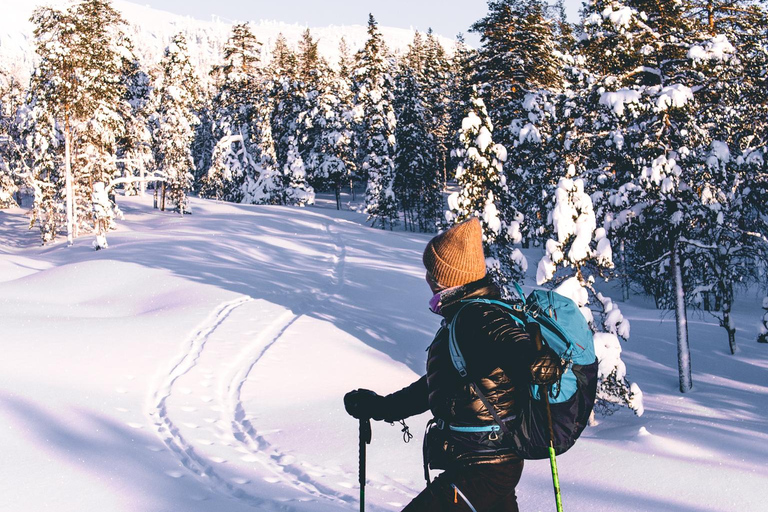 Pyhätunturi: Private Wilderness Skiing Tour In Pyhätunturi