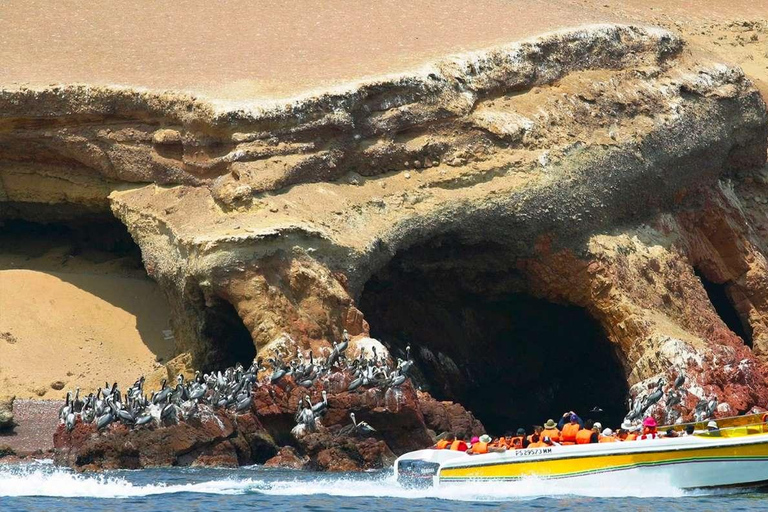 Au départ de Lima : visite guidée d&#039;une journée à Paracas et à l&#039;oasis de Huacachina