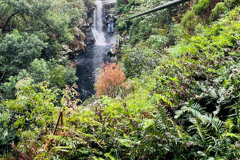 Tsitsikamma Day Trip with Optional Activities