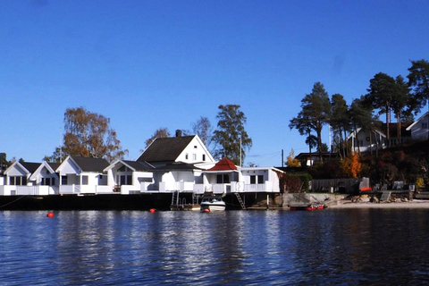 Oslo : Croisière touristique dans le fjord d'Oslo en bateau électrique