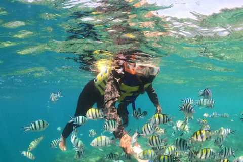 3 Gilis Snorkeling Trip Gili Nanggu, Gili Sudak & Gili Kedis