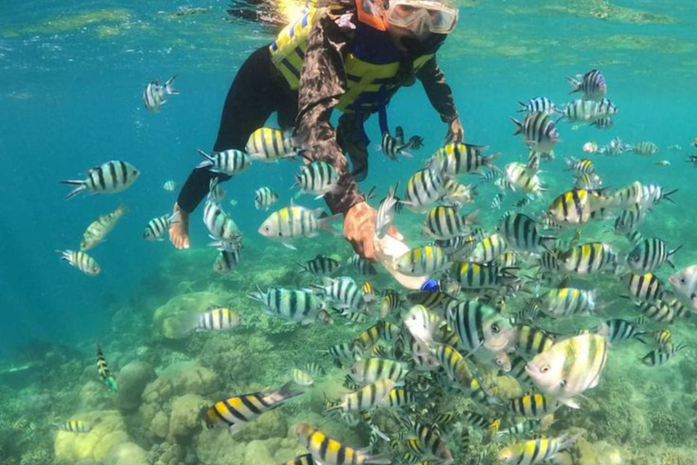 3 Gilis Snorkeling Trip Gili Nanggu, Gili Sudak & Gili Kedis