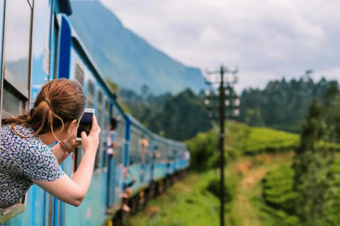 Kandy To Nanuoya Drop Tour & Morning Ella Train Journey Kandy To Nanuoya Drop Tour & Morning Ella Train Journey Car*