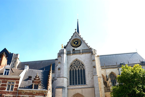 Leuven: Express Walk with a Local in 60 minutes 60 min - Private Tour