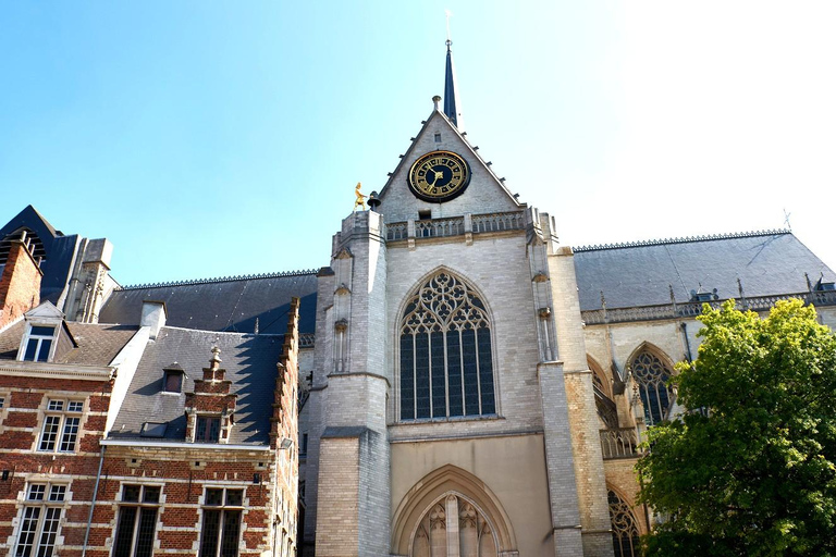 Leuven: Express Walk with a Local in 60 minutes 60 min - Private Tour