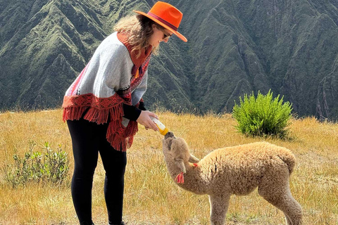 Chinchero, Maras &amp; Moray + Picnic con llamas |Private Tour|