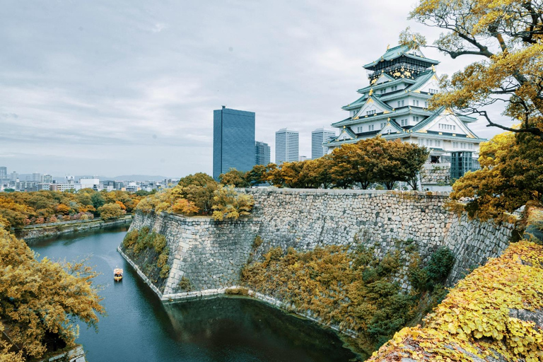 Kyoto Full Private Customizable Tour with English Driver