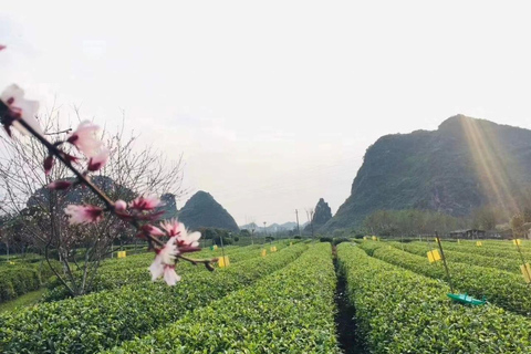 Guilin: Private Full-Day Sightseeing Tour