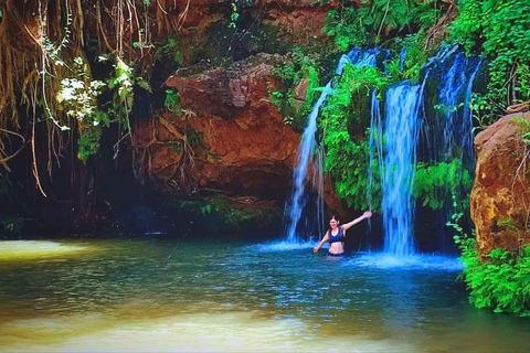 Nairobi: Caminhada pela Floresta Ngare Ndare e Canopy WalkNairobi: Caminhada pela Floresta Ngare Ndare e Passeio pela Copas das Árvores